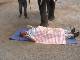 Очень смешноТайский эротически-слоновий массаж